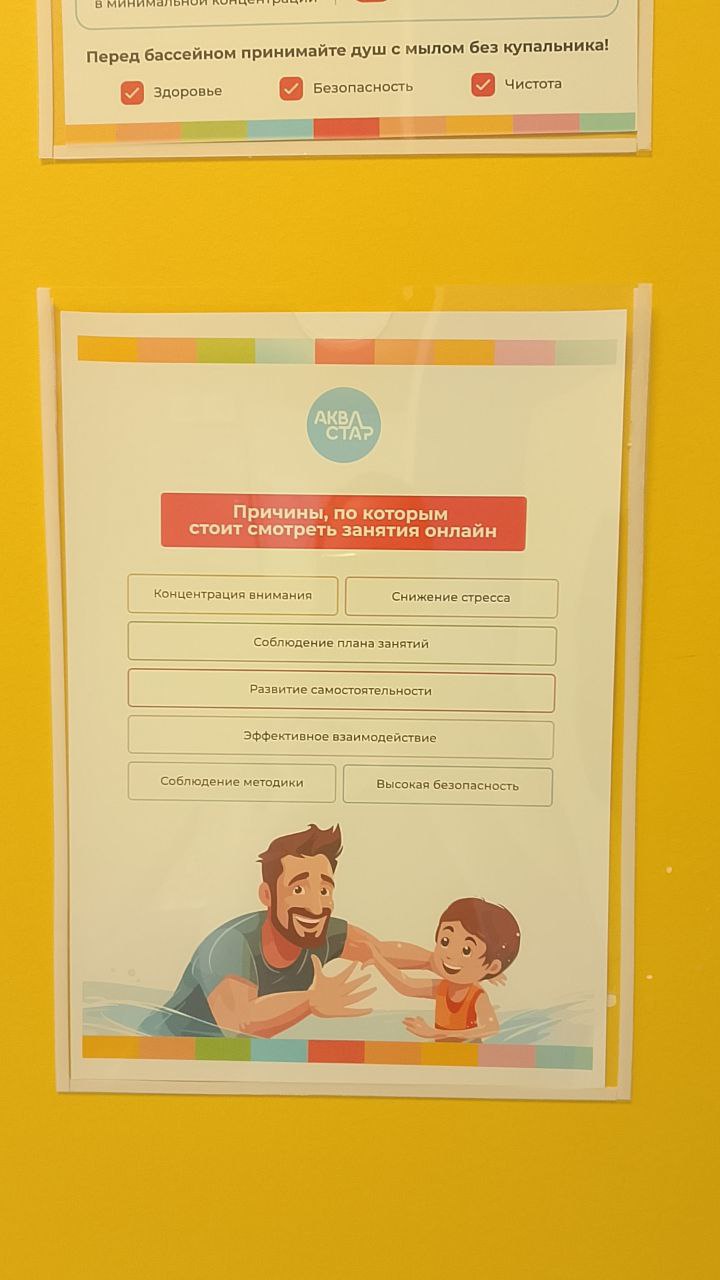 просмотр занятий онлайн