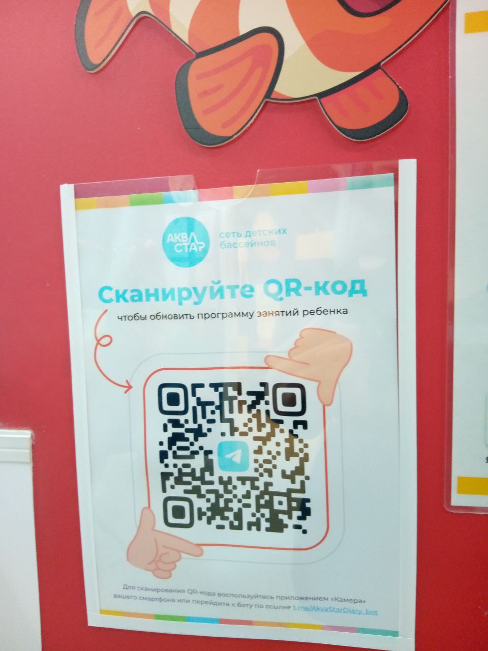 QR код дневник пловца